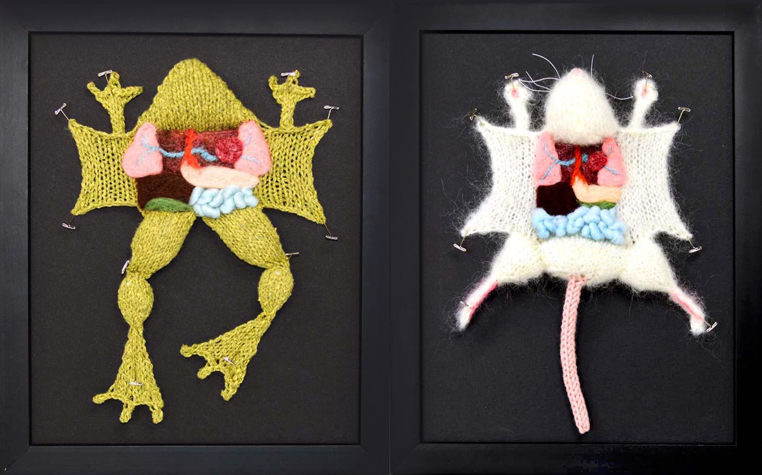 https://www.exploratoriumstore.com/collections/fine-art/products/aknitomy-dissected-frog-framed