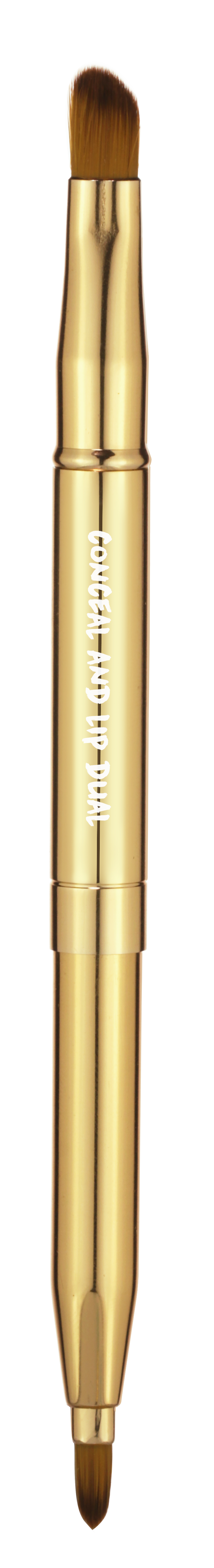 Brea's Adventures - In the Rainforest - Travel brushes