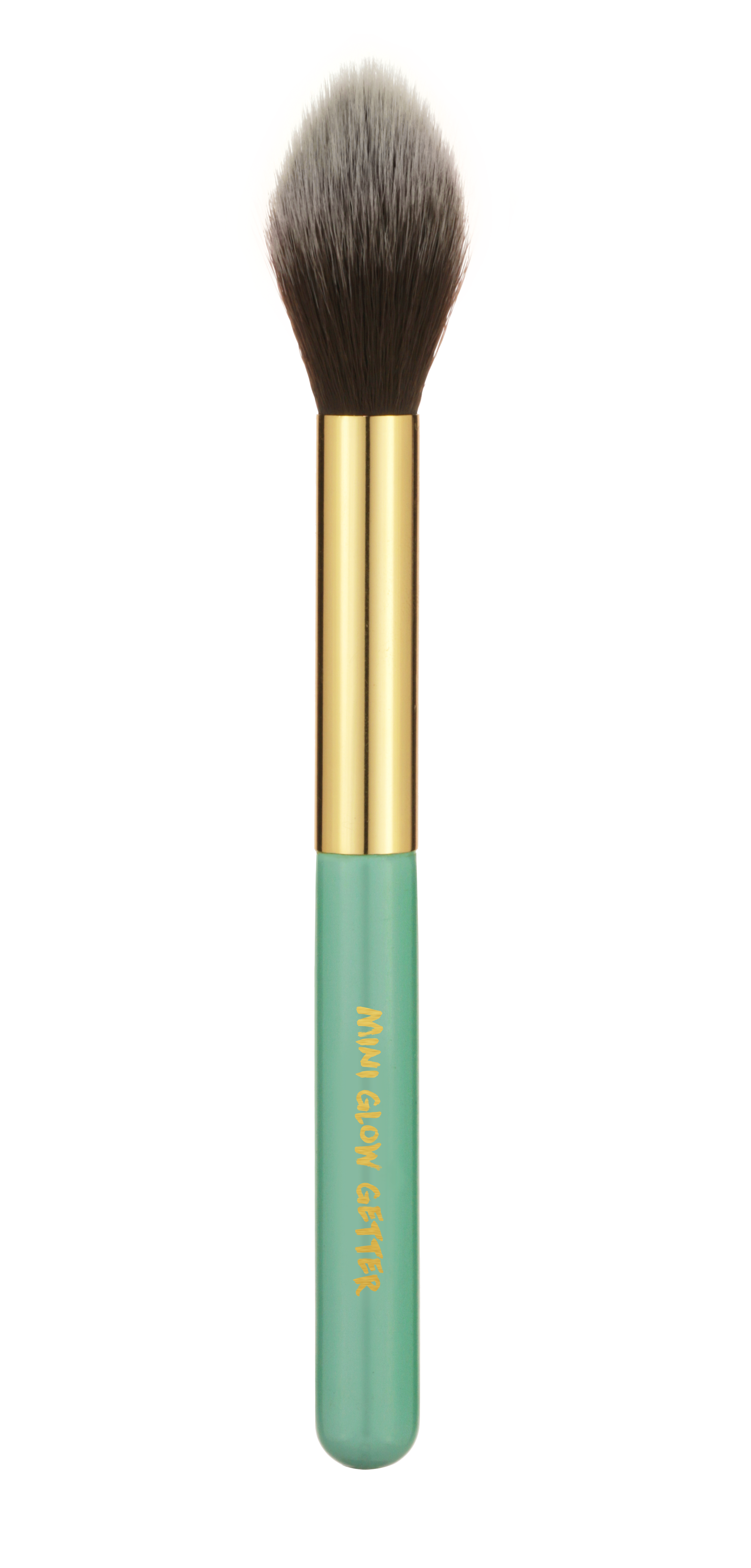 Brea's Adventures - In the Rainforest - Travel brushes