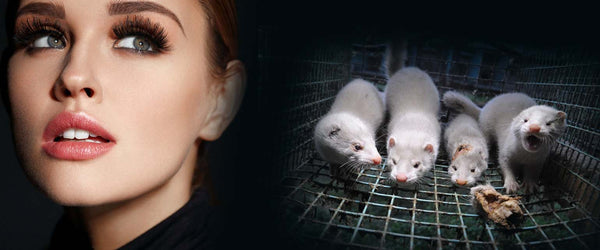 Why it's impossible for mink lashes to be cruelty-free
