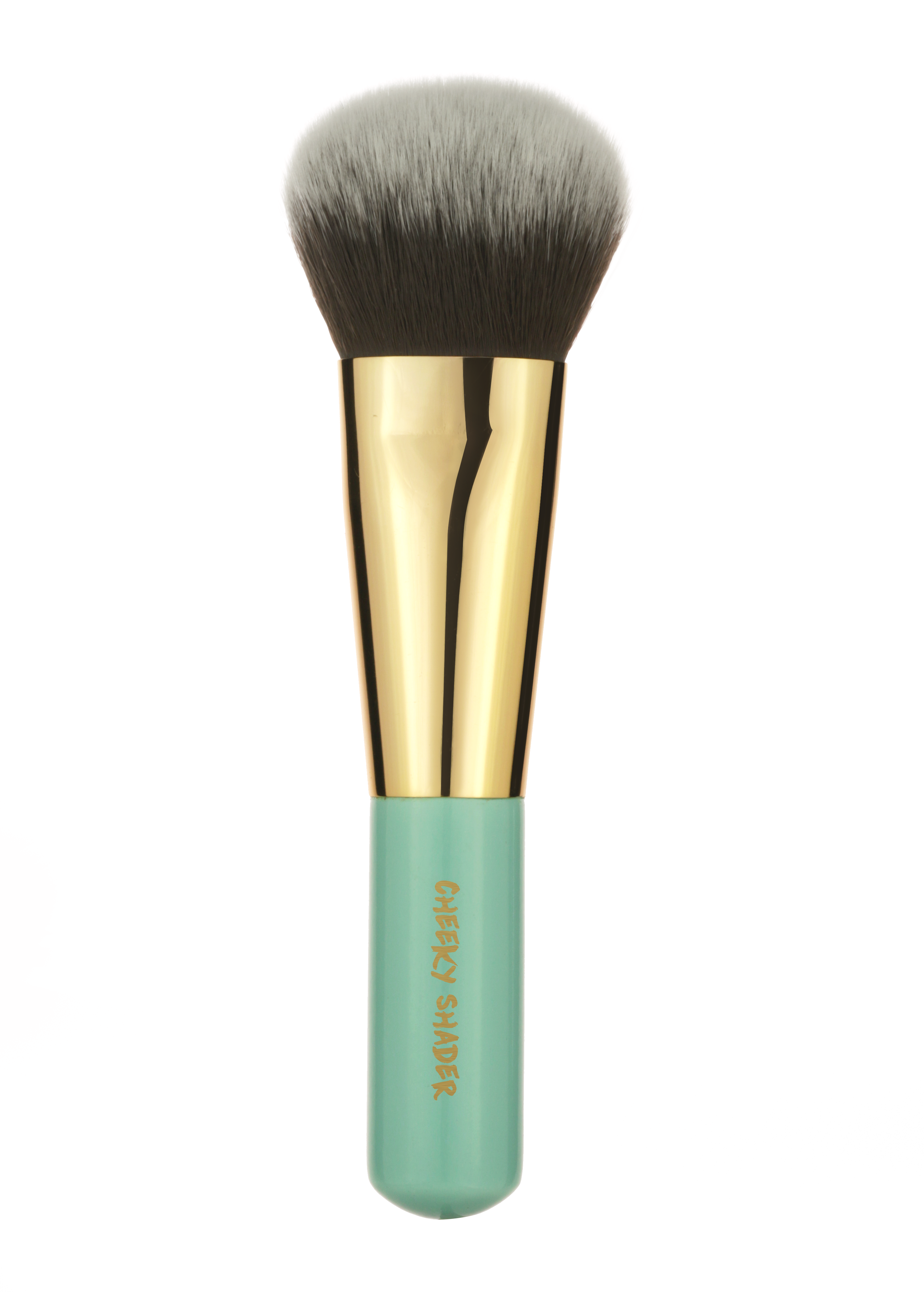 Brea's Adventures - In the Rainforest - Travel brushes