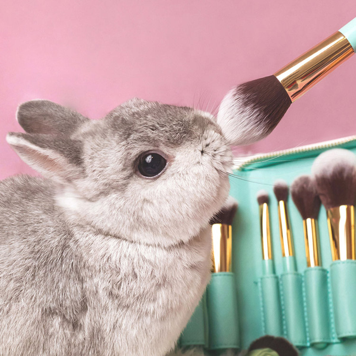 13rushes cruelty free